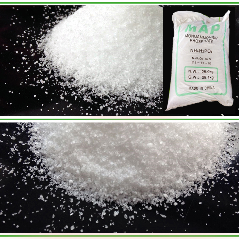 Mono Momo Ammonium Phosphate (MAP) price